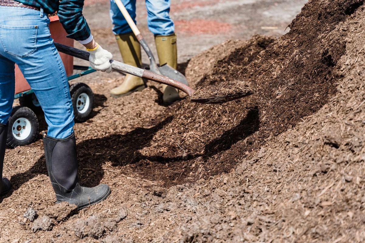 Workers spreading soil during yard work